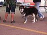 pict7144